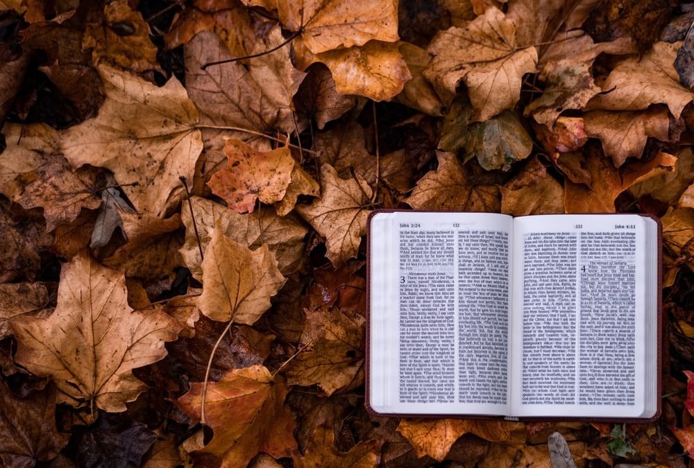 Psalms 121 Read by Priscilla