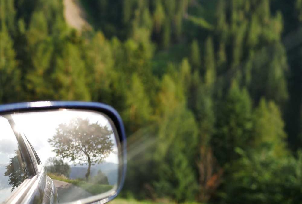 Proverbs 1 Sister Dale Jamaica