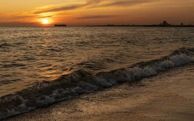 Proverbs 12 Sister Dale Jamaica