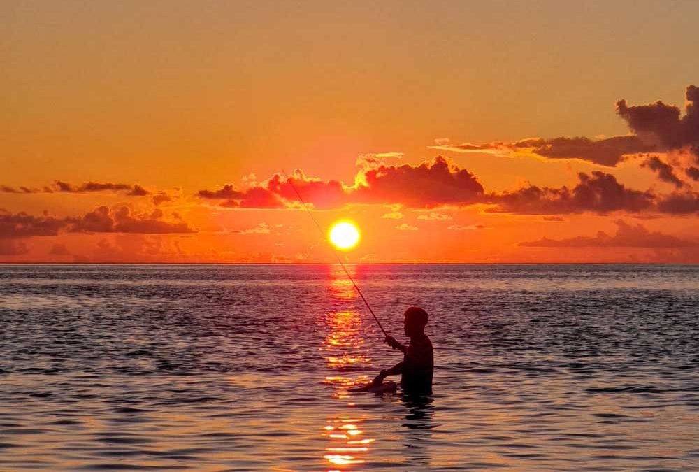 Psalms 18 16 – 30 By Brother Marcel Switzerland