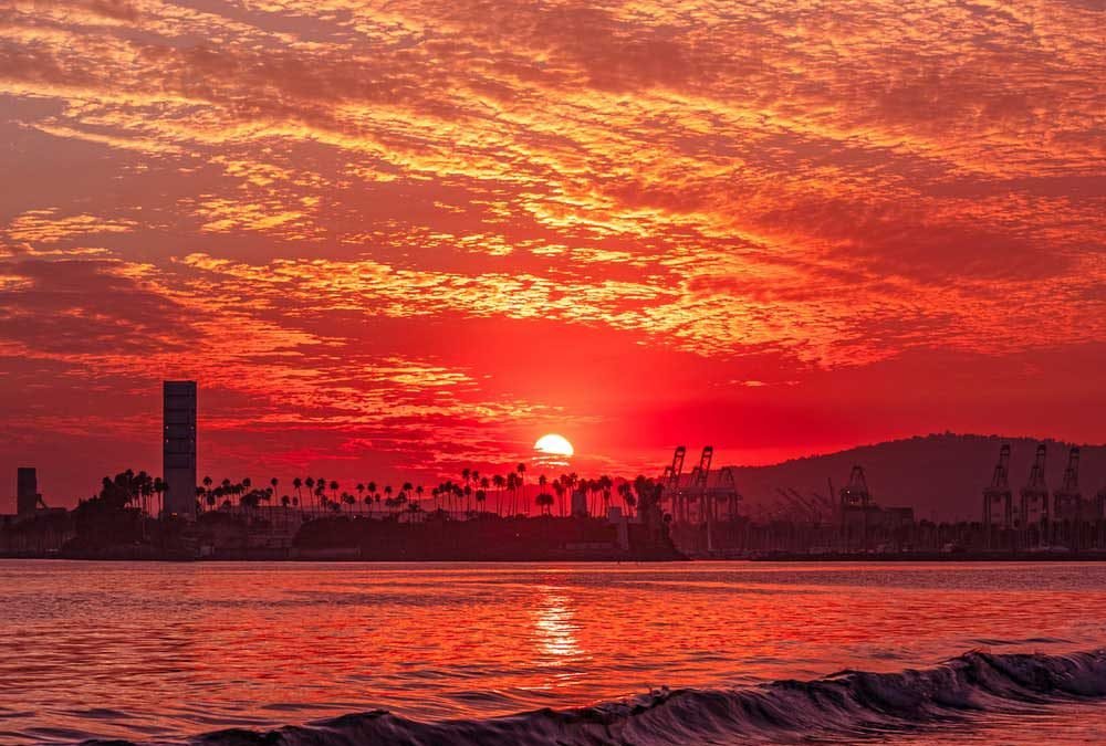 Psalms 12 Brother Marcel Switzerland